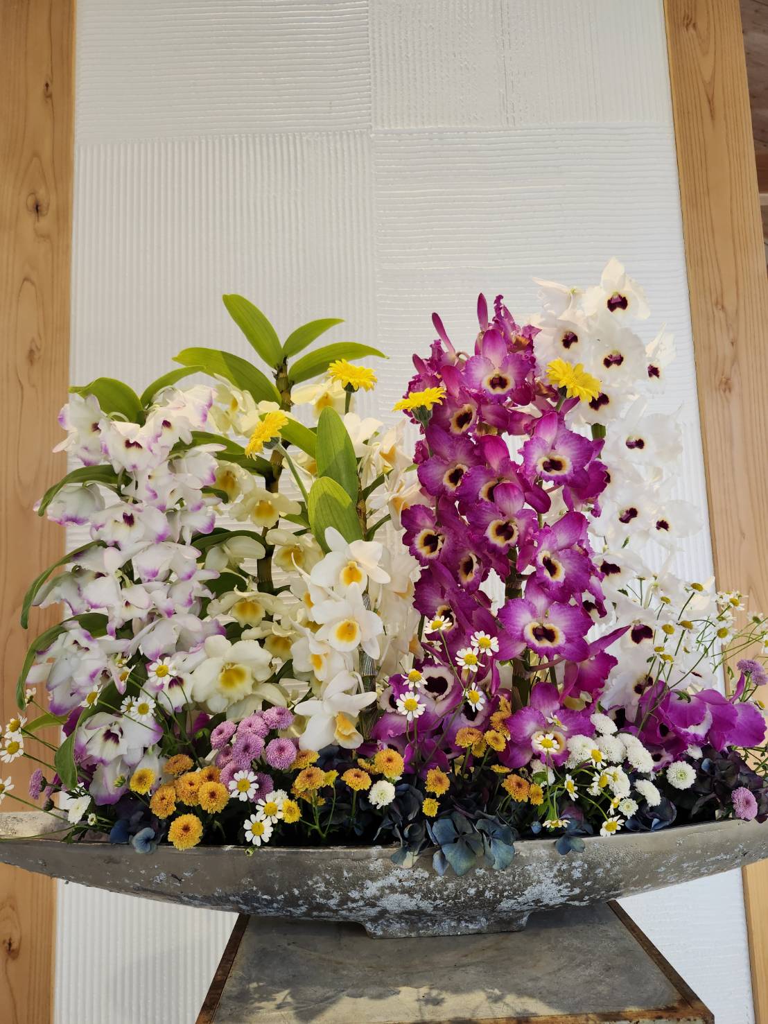 洋らん情報誌 New Orchids ニューオーキッド 18冊 雑誌 セット