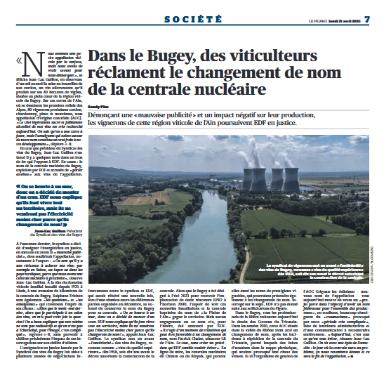 Sandy Plas tweet media