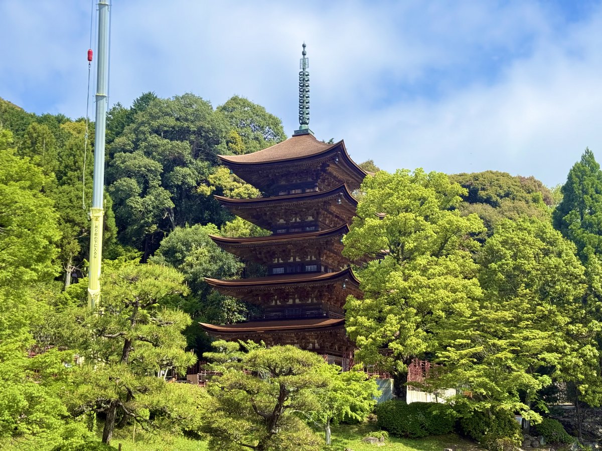oidemase_info's tweet photo. ＼瑠璃光寺五重塔が5層目まで見えるようになりました👀✨／

山口市の国宝・瑠璃光寺五重塔は改修作業が進み、五重塔を囲んでいた鉄骨の撤去が進んでいます✨
本日4/24(木)の10時頃に撮影した現在の姿がこちら！📸

屋根が5層目まで見えるようになっていました！！
約70年ぶりに全面葺き替え工事を行った檜皮葺の屋根がなんとも美しく、ふくだるまも見入っていました👀✨
約2年ぶりの姿に、思わずグッとくるという方も多いのではないでしょうか😌💚

もうすぐ５月に入り、こどもの日がやってきますね🎏
今日はふくだるまは、兜をかぶって写真を撮ってみました😉📸
GWには、山口県内では様々なイベントが開催されます！
おすすめのイベント情報をまとめたページをコメント欄に載せているので、ぜひチェックしてみてください♪