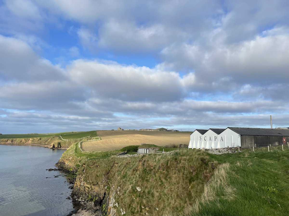 OSufferer's tweet image. Good morning 🌅 from Orkney. I went a walk to the beach this morning 💜

#orkney #scapa
