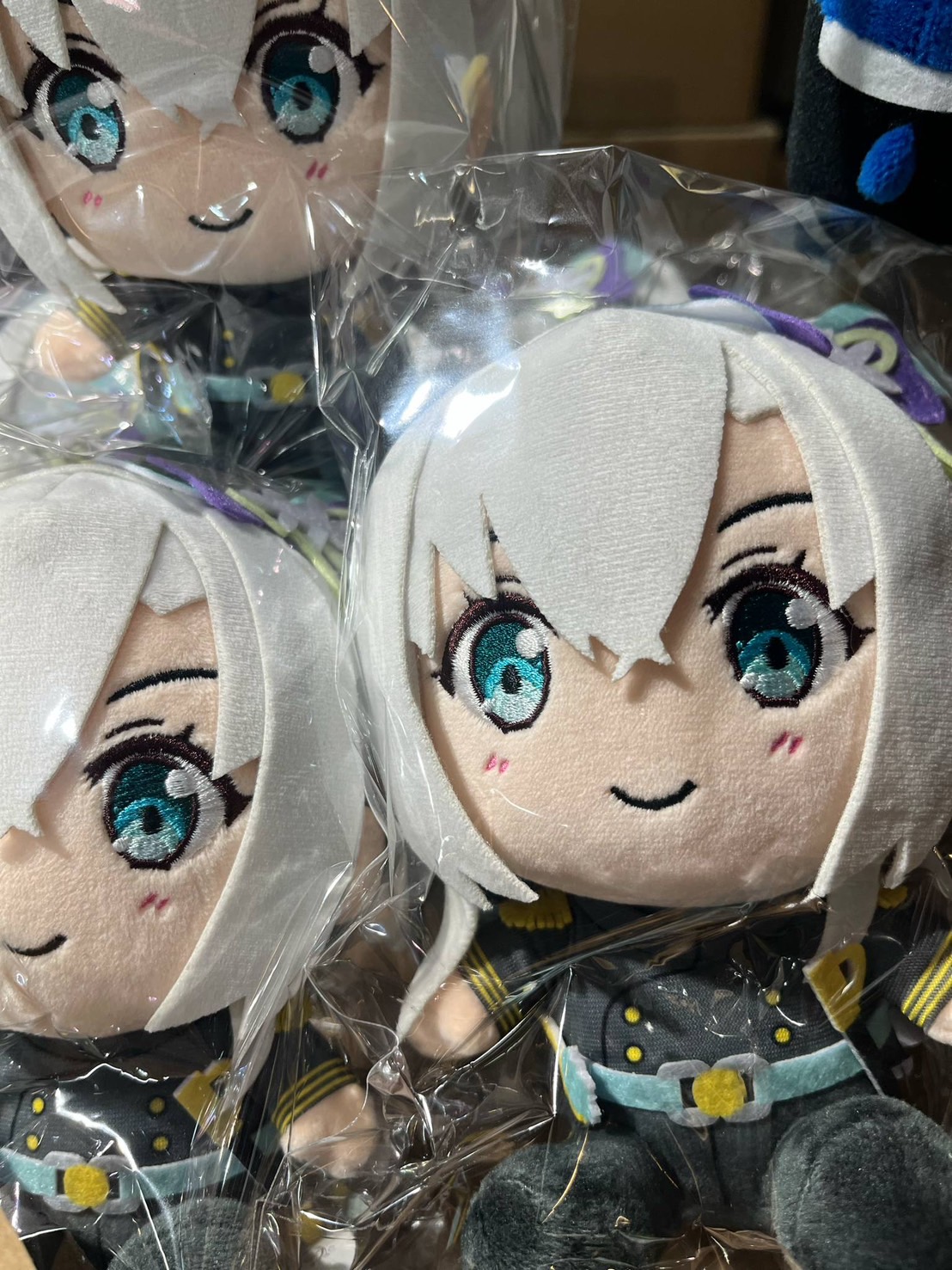 温泉むすめ　道後　ぬいぐるみ 下田市観光協会 on X: 