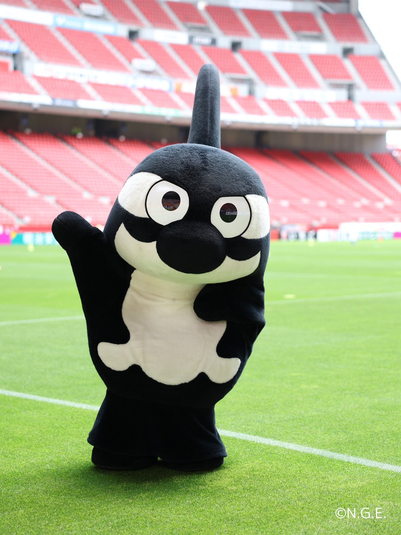 2024ぬいぐるみグランパスくん | NAGOYA GRAMPUS WEB SHOP