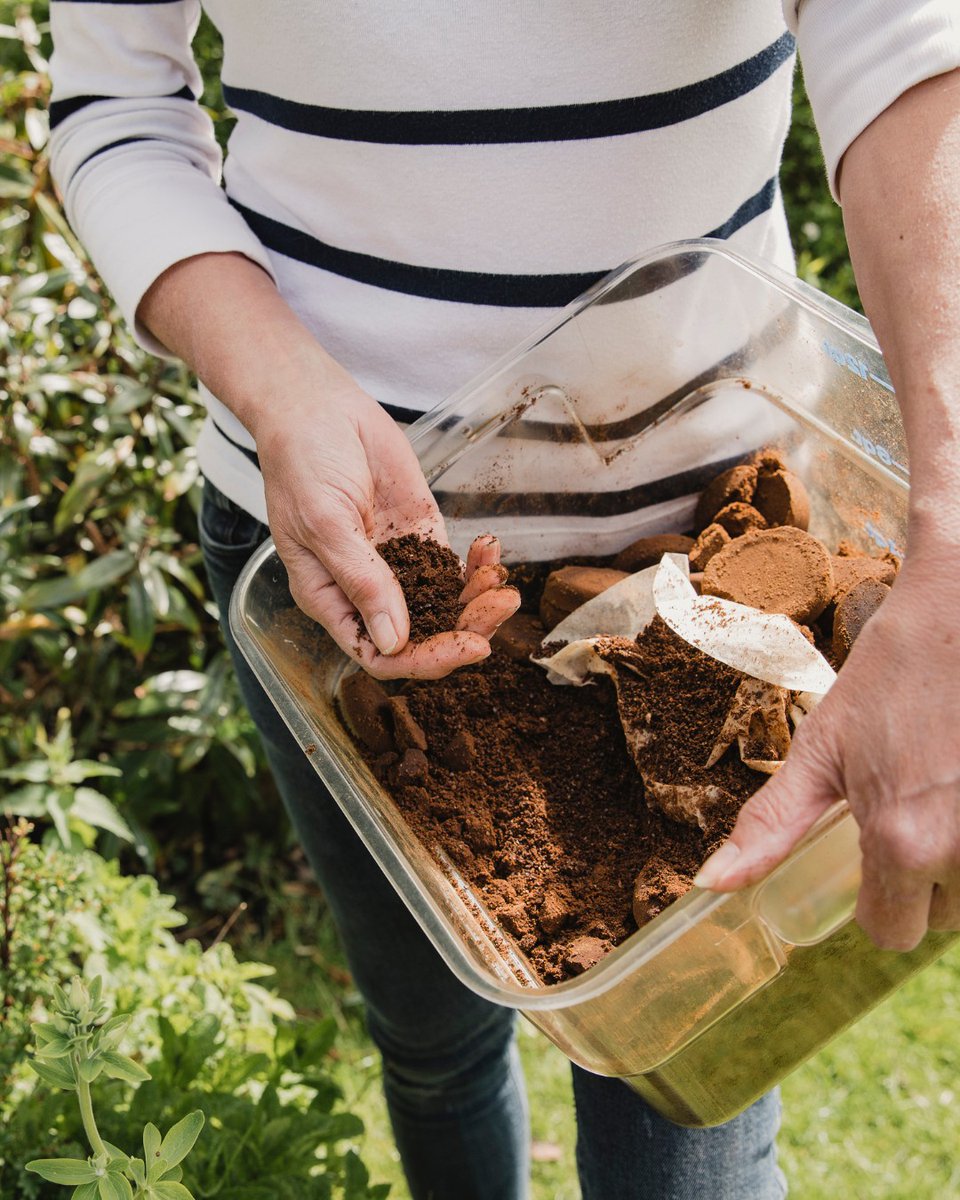 ♻️ FREE coffee grounds!

🌿 Pick up a free bag of used coffee grounds from any one of our café outlets - Bonds, Crumbs, Lakeside Theatre Café, or Zest fresh. Perfect for your garden or compost bin.

#littlechoicesbigchanges

<a href="/EssexFood/">Essex Food</a> | <a href="/UoE_Sus/">UoEssex Sustainability 🌳🦆🌍</a>