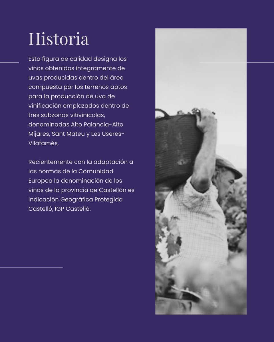🍷 La història del vi a Castelló té nom propi: “Vins de la Terra de Castelló”

—

🍷 La historia del vino en Castellón tiene nombre propio: “Vins de la Terra de Castelló”

#IGPCastelló #VinsDeLaTerra  #Enoturisme #Castelló #Castellón #vi #vino