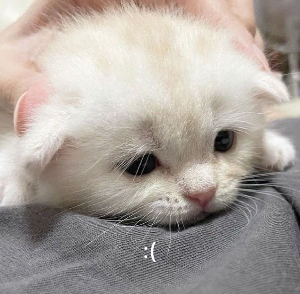 i kno ,, ime hab.  been gones ,  am do ings, okay .  skrunkle hopes ,  u okays too