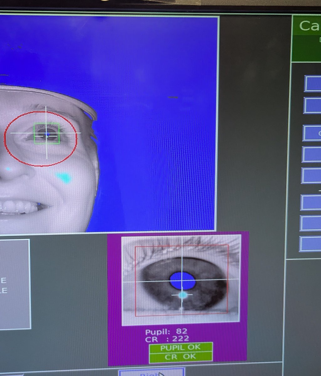 Lucy Jackson tweet media