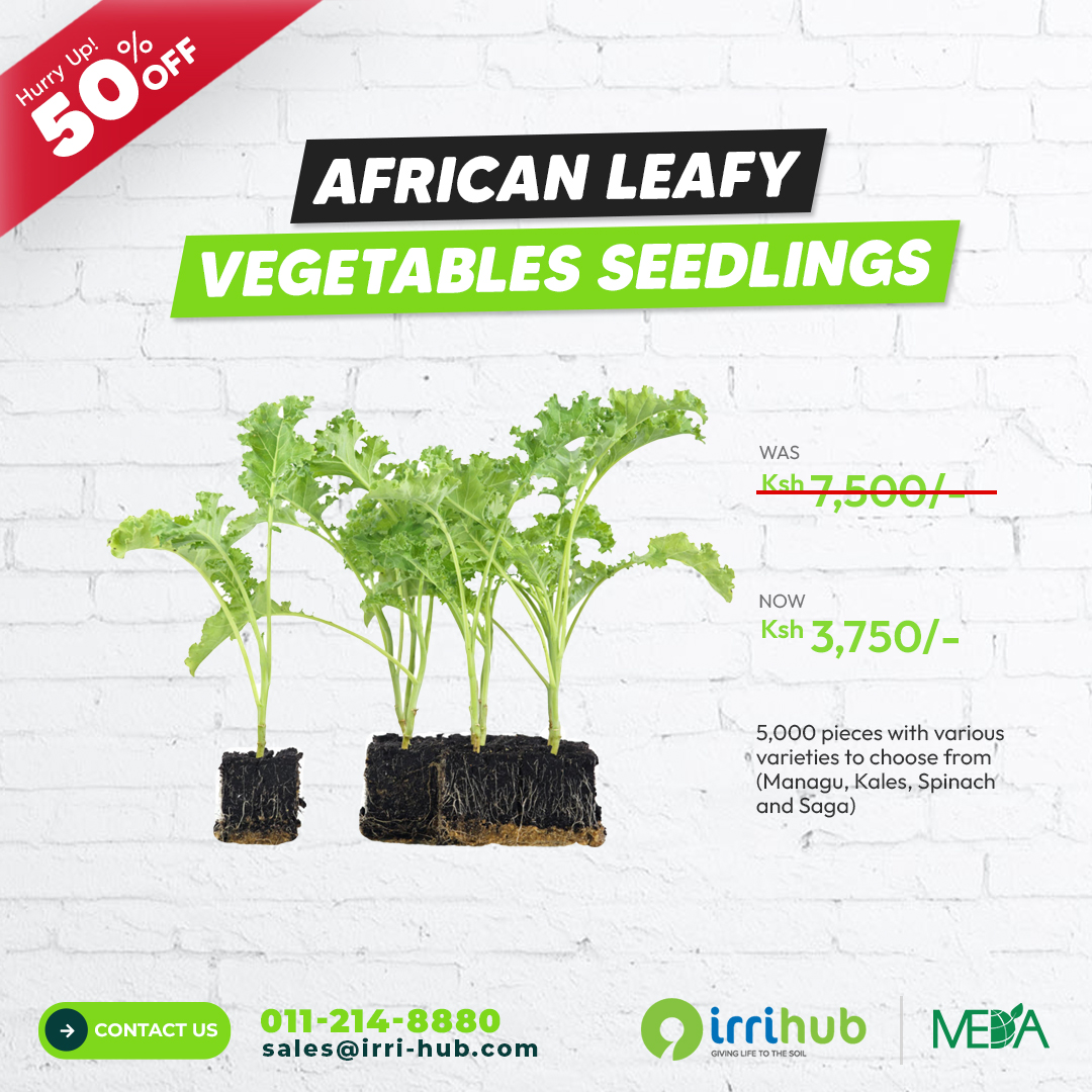 Irri-Hub KE tweet media