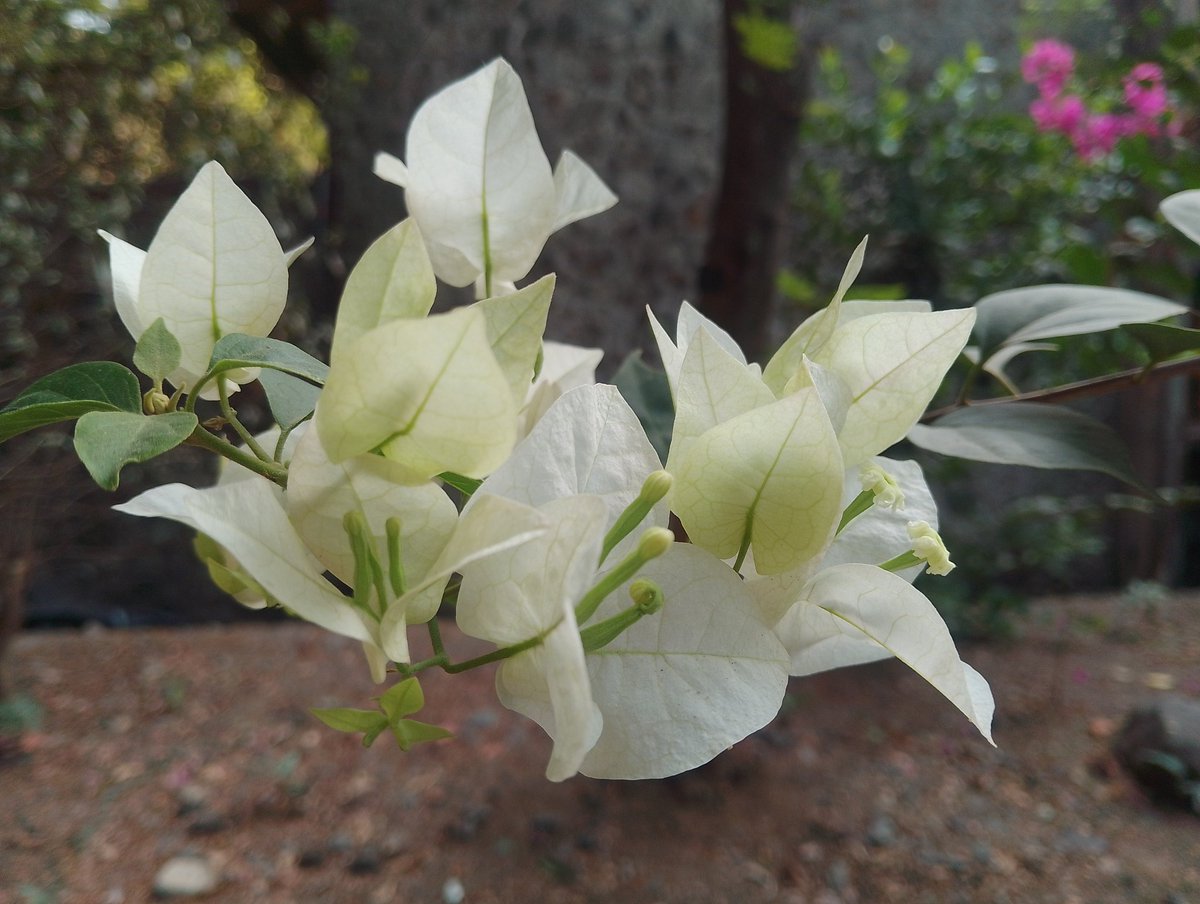 Sg_sanna's tweet image. "Never give up. Today is hard, tomorrow will be worse, but the day after tomorrow will be sunshine".
Jack Ma
#aprilmonth