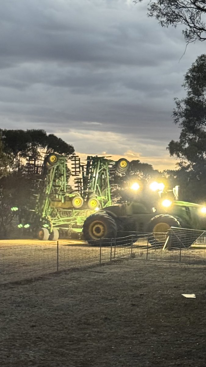 #plant25 dusk shift #lentils