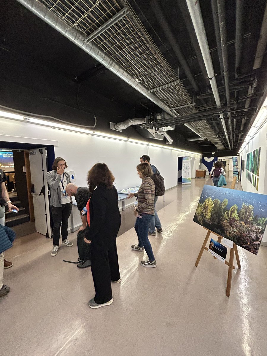 MedRecover tweet media