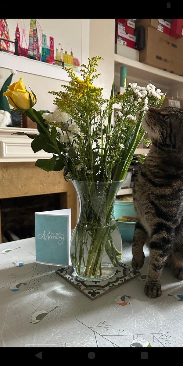 Hannah Crown tweet media