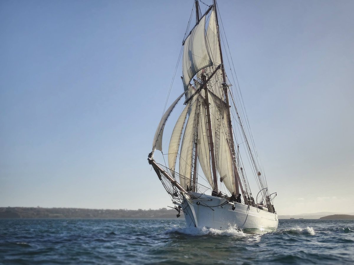 Les Sables d'Olonne (@lessables) on Twitter photo La Belle Poule fera une escale Sablaise jusqu’au 29 avril 2025. Il arrivera à 15h17 ce jour et sera amarré au ponton Vendée Globe à Port Olona. Visites du navire gratuites et sans résa samedi et dimanche 10h -12h et 13h30- 18h <a href="/MarineNationale/">Marine nationale</a> #vendee La Belle Poule fera une escale Sablaise jusqu’au 29 avril 2025. Il arrivera à 15h17 ce jour et sera amarré au ponton Vendée Globe à Port Olona. Visites du navire gratuites et sans résa samedi et dimanche 10h -12h et 13h30- 18h <a href="/MarineNationale/">Marine nationale</a> #vendee