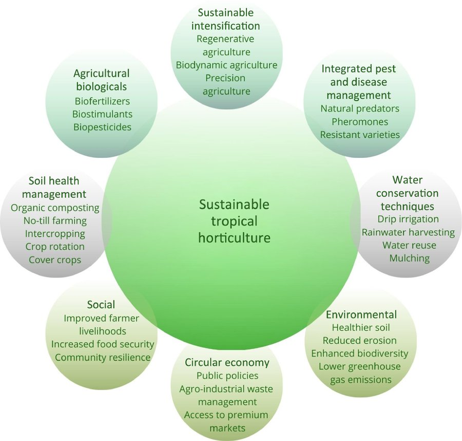 Maximum Academic (@maximumacademic) on Twitter photo #TiH
Tropical horticulture faces pests, soil degradation, and climate change. Sustainable practices are key for resilience and food security. 🌿
<a href="/HortiPlant/">Horticultural Plant Research</a> #TropicalHorticulture #Sustainability
Details: maxapress.com/article/doi/10… #TiH
Tropical horticulture faces pests, soil degradation, and climate change. Sustainable practices are key for resilience and food security. 🌿
<a href="/HortiPlant/">Horticultural Plant Research</a> #TropicalHorticulture #Sustainability
Details: maxapress.com/article/doi/10…
