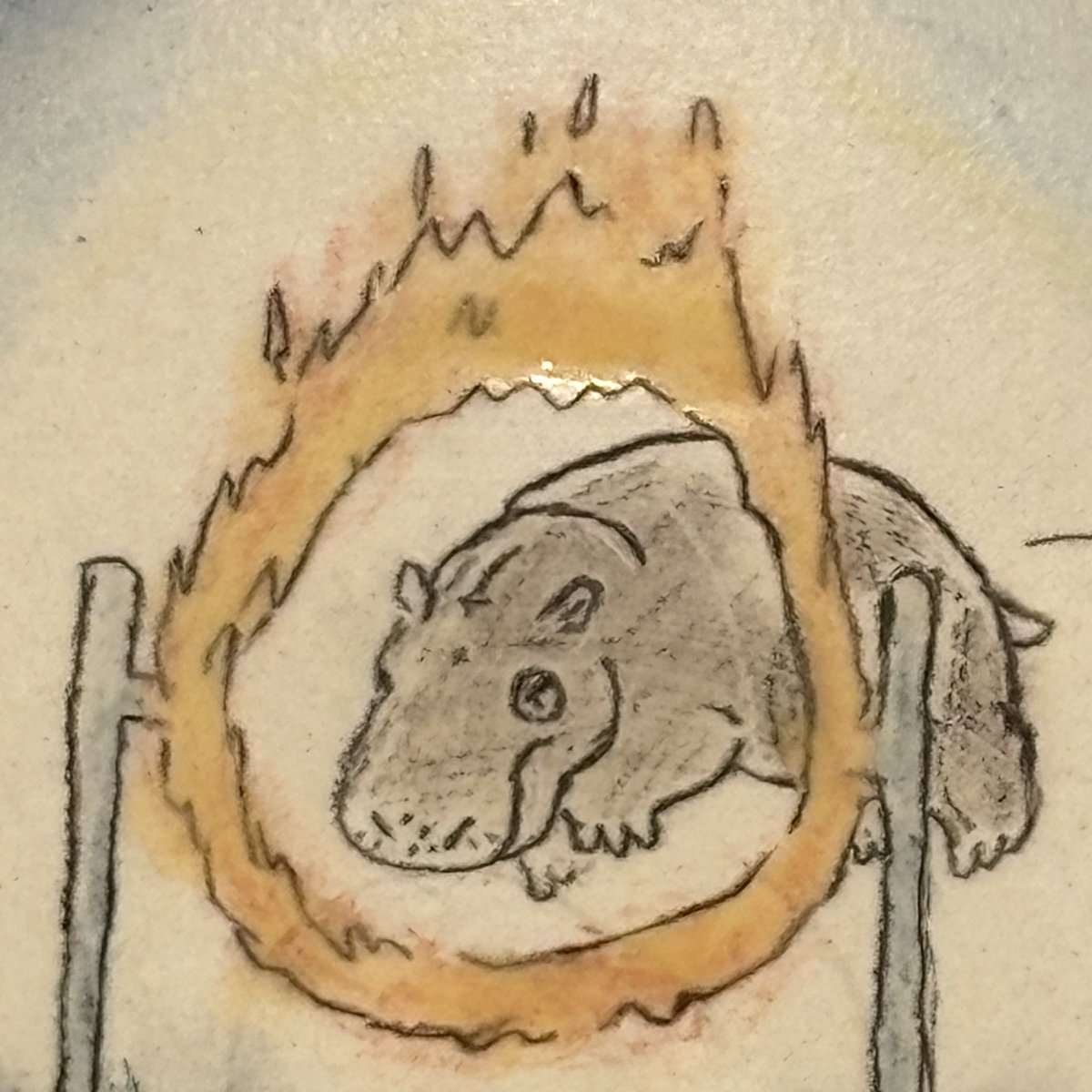 GALLERY HIPPO tweet media