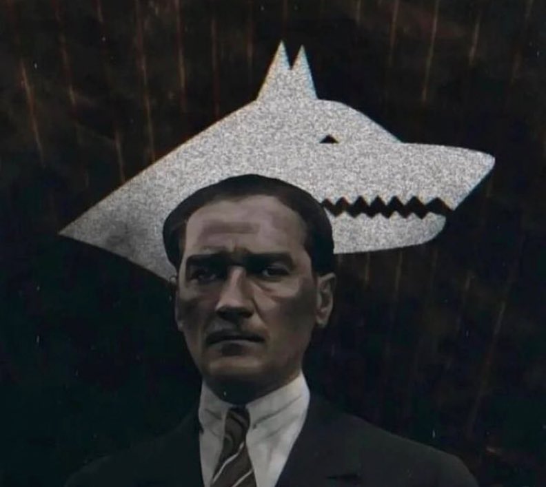 “Atatürk ortalığa bir ‘Türklük dehşeti’ saçmıştı!”

💬Hüseyin Nihal Atsız