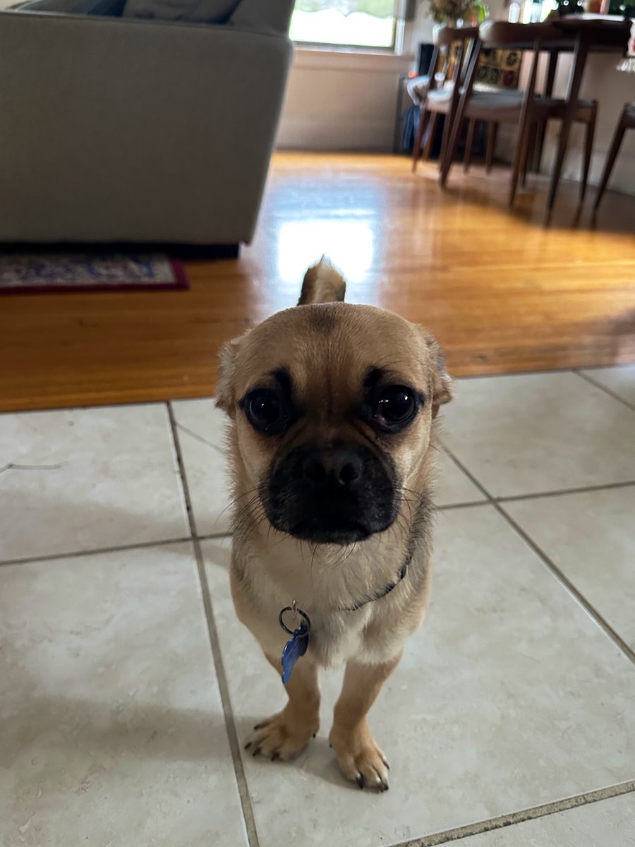 fucked around, now I own a chug