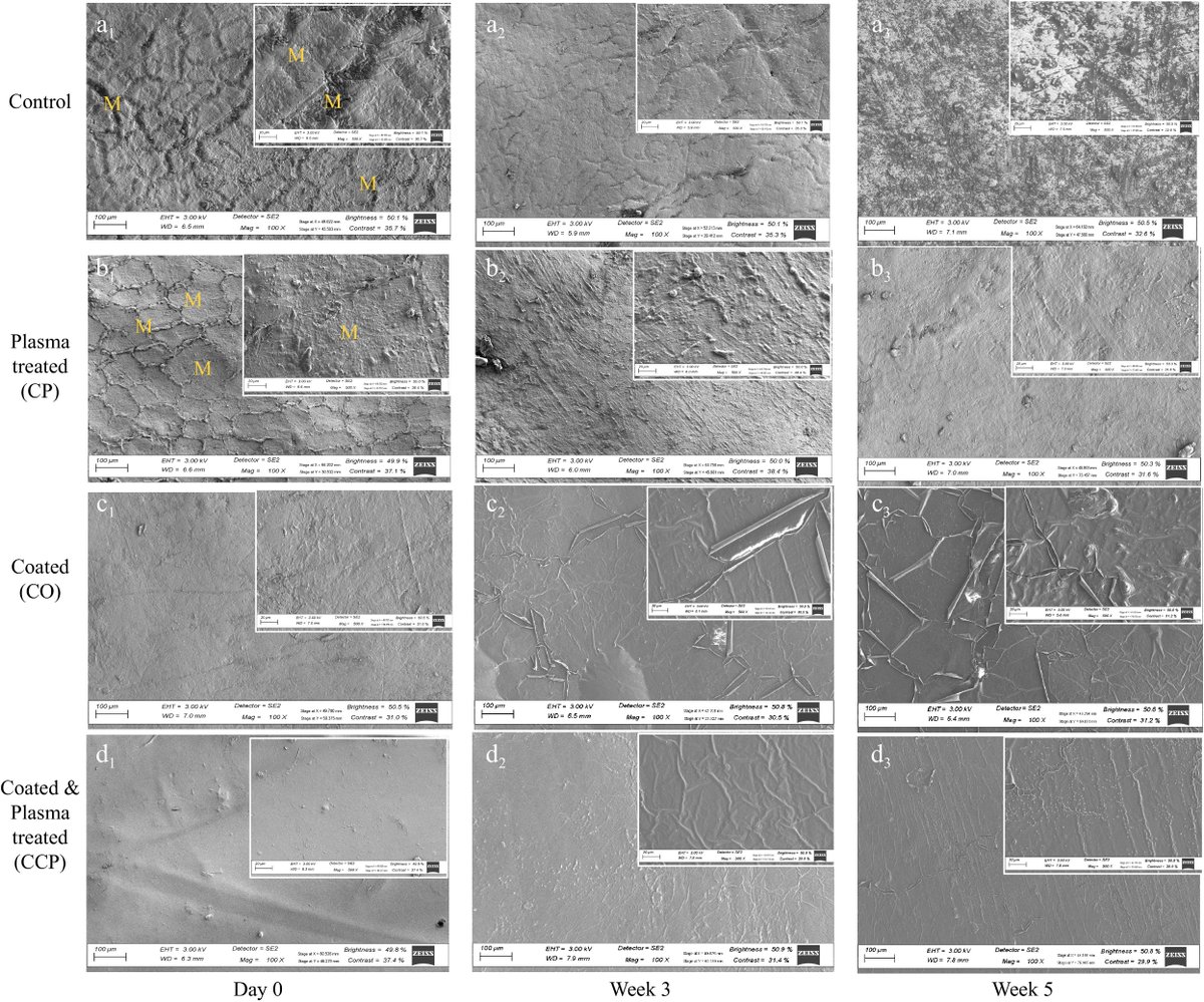 Maximum Academic (@maximumacademic) on Twitter photo #TiH
Plasma-activated sodium alginate coating preserves apple quality and reduces microbial load. Study highlights potential for non-thermal preservation. 🍎
<a href="/HortiPlant/">Horticultural Plant Research</a> #AppleStorage #EdibleCoatings
Details: maxapress.com/article/doi/10… #TiH
Plasma-activated sodium alginate coating preserves apple quality and reduces microbial load. Study highlights potential for non-thermal preservation. 🍎
<a href="/HortiPlant/">Horticultural Plant Research</a> #AppleStorage #EdibleCoatings
Details: maxapress.com/article/doi/10…