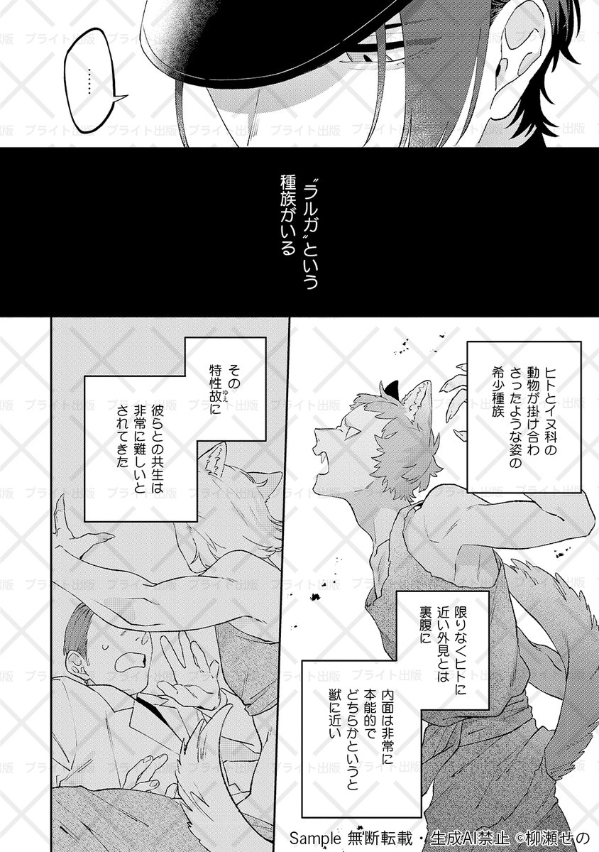 ⭐️成瀬⭐️【裁断済み】CAP 17冊まとめ 獣医 ⭐️成瀬⭐️【裁断済み