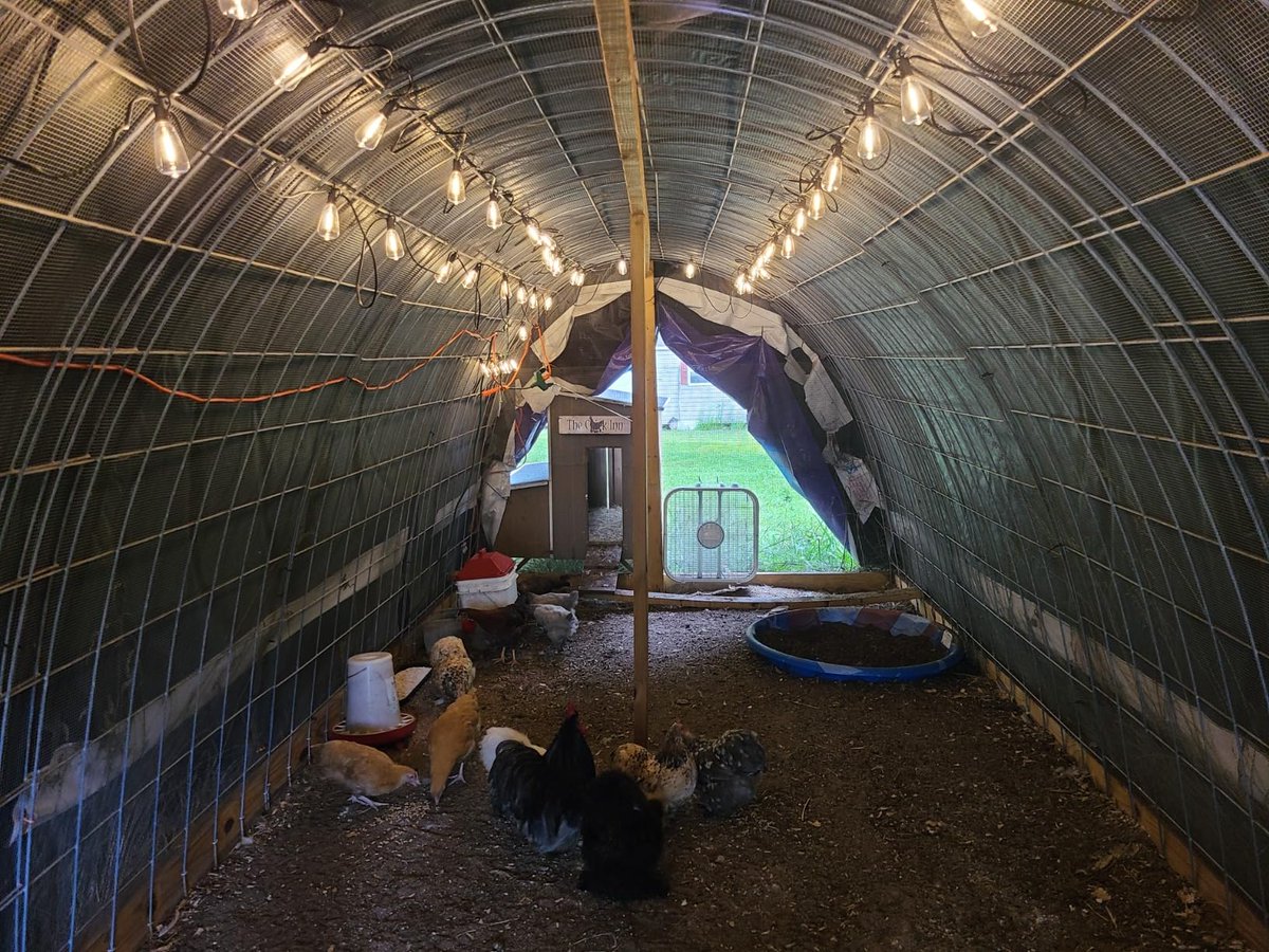 Yunchengfactory's tweet image. Premium quality, competitive rates, and reliable global shipping—your trusted source for bulk string lighting solutions.

Learn About: ehelight.com/product/st38-c…

#Yuncheng #StringLightManufacturer #DirectFromFactory #OutdoorLighting #LightingWholesale