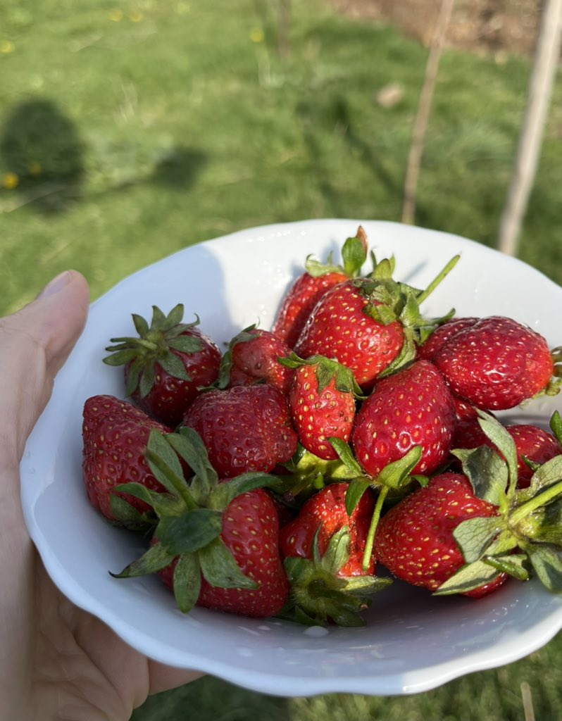 ceyda (@ceydacelebiii) on Twitter photo 