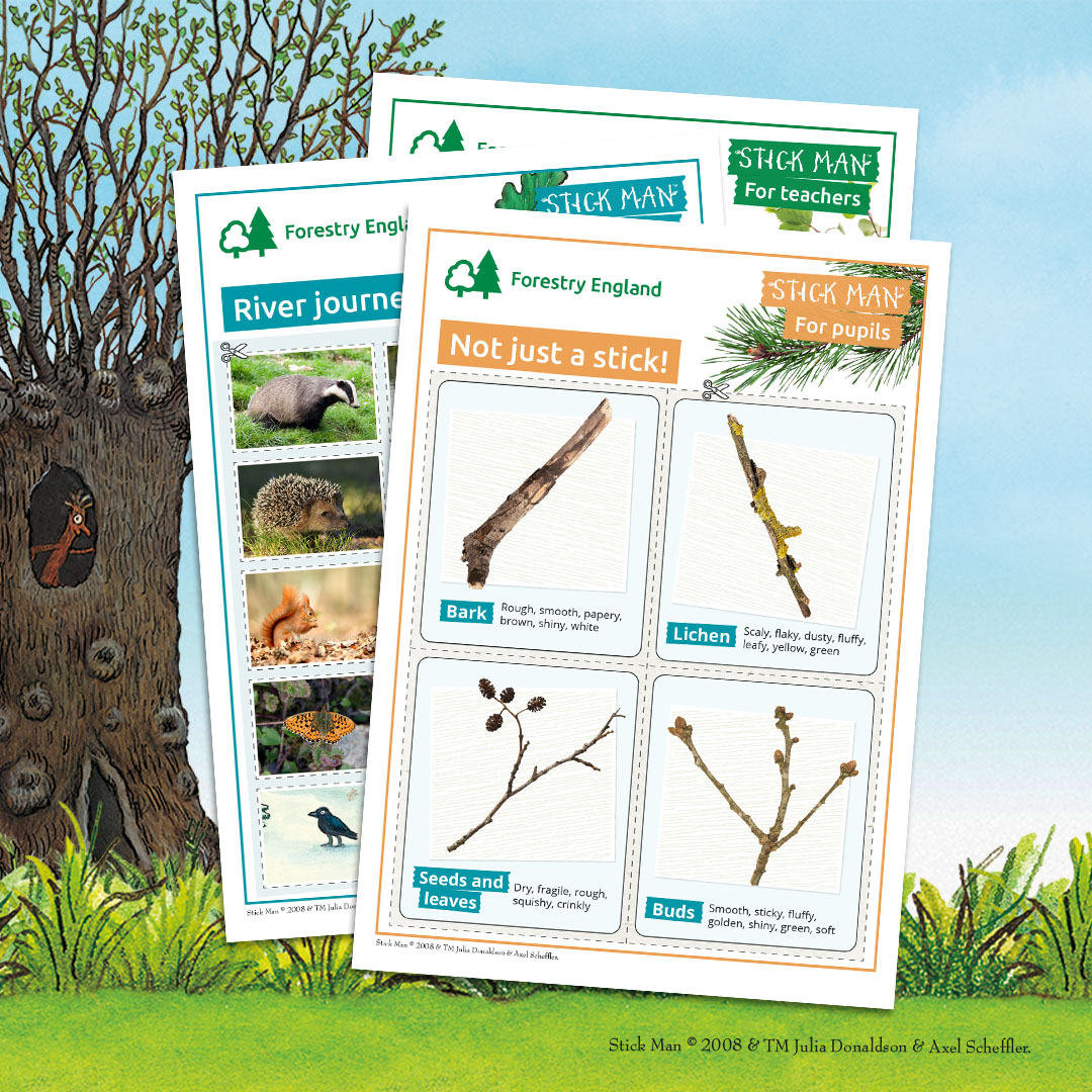 EYFS and KS1 Teachers 📢

Take your class on an exciting journey with Stick Man, through the seasons, down rivers, and into the homes of creatures living in trees. Packed with fun, hands-on activities to inspire outdoor exploration and curiosity 🌲

👉rb.gy/wwpf2s