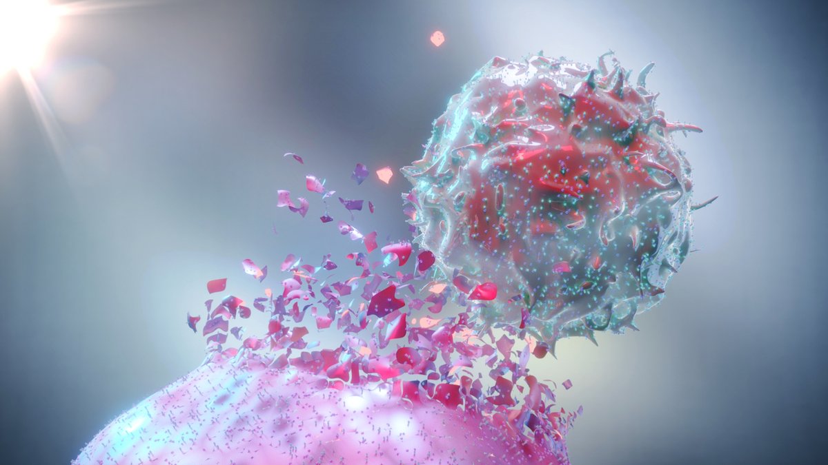 CSIC (@csic) on Twitter photo 🔬Identificado un mecanismo que podría potenciar la inmunoterapia frente al #cáncer
🧪Un equipo del <a href="/CBM_CSIC_UAM/">Centro de Biología Molecular Severo Ochoa</a> ha hallado conexiones inesperadas entre la muerte celular programada y la autofagia o ‘autocanibalismo’ de las células
➡️ tiny.cc/5dhh001 🔬Identificado un mecanismo que podría potenciar la inmunoterapia frente al #cáncer
🧪Un equipo del <a href="/CBM_CSIC_UAM/">Centro de Biología Molecular Severo Ochoa</a> ha hallado conexiones inesperadas entre la muerte celular programada y la autofagia o ‘autocanibalismo’ de las células
➡️ tiny.cc/5dhh001