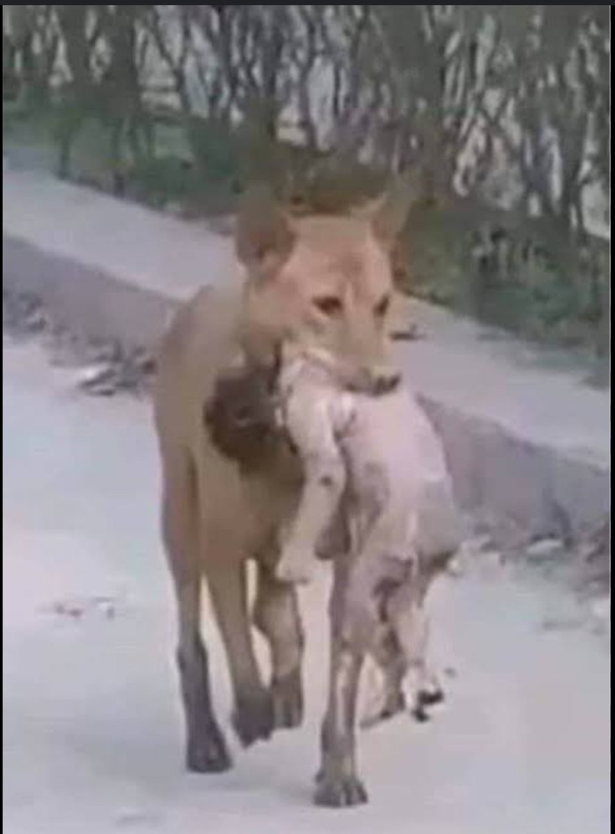 Depremden sonra;

Senin beklediğin         -           Gelecek olan