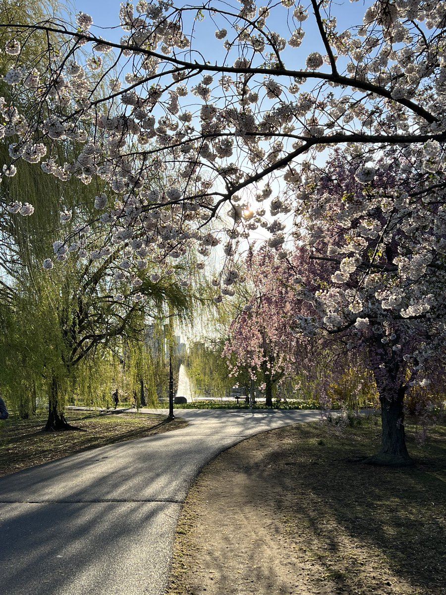 TomoJustFunky's tweet image. Good Morning! 
おはようございます！

#dontworry
#dontcompare
#dontexpecttoofast
#bekindtoyourself
#tomofujita
#guitarwisdom
#morningwalk #boston