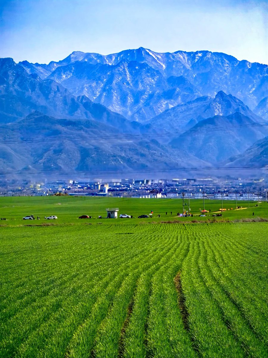 ShaanxiPlus's tweet photo. In April at the northern foot of the Qinling Mountains, the wind is like a paintbrush. It gently sweeps across the wheat fields of Chang'an, dyeing the entire Shenheyuan into flowing emerald.
#CharmingShaanxi #PoeticShaanxi #SpringSight #scenery #ChinaTravel https://t.co/u9miCJjYYM