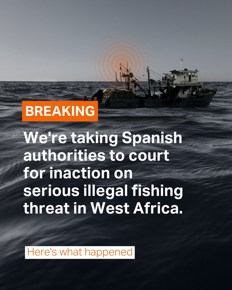 We're taking Spain to court for inaction on serious illegal fishing threat in West Africa. The authorities refused to investigate Spanish fishing vessels and companies operating in Senegal &amp; Guinea Bissau. 

We need them to take accountability.
➡️europe.oceana.org/press-releases…