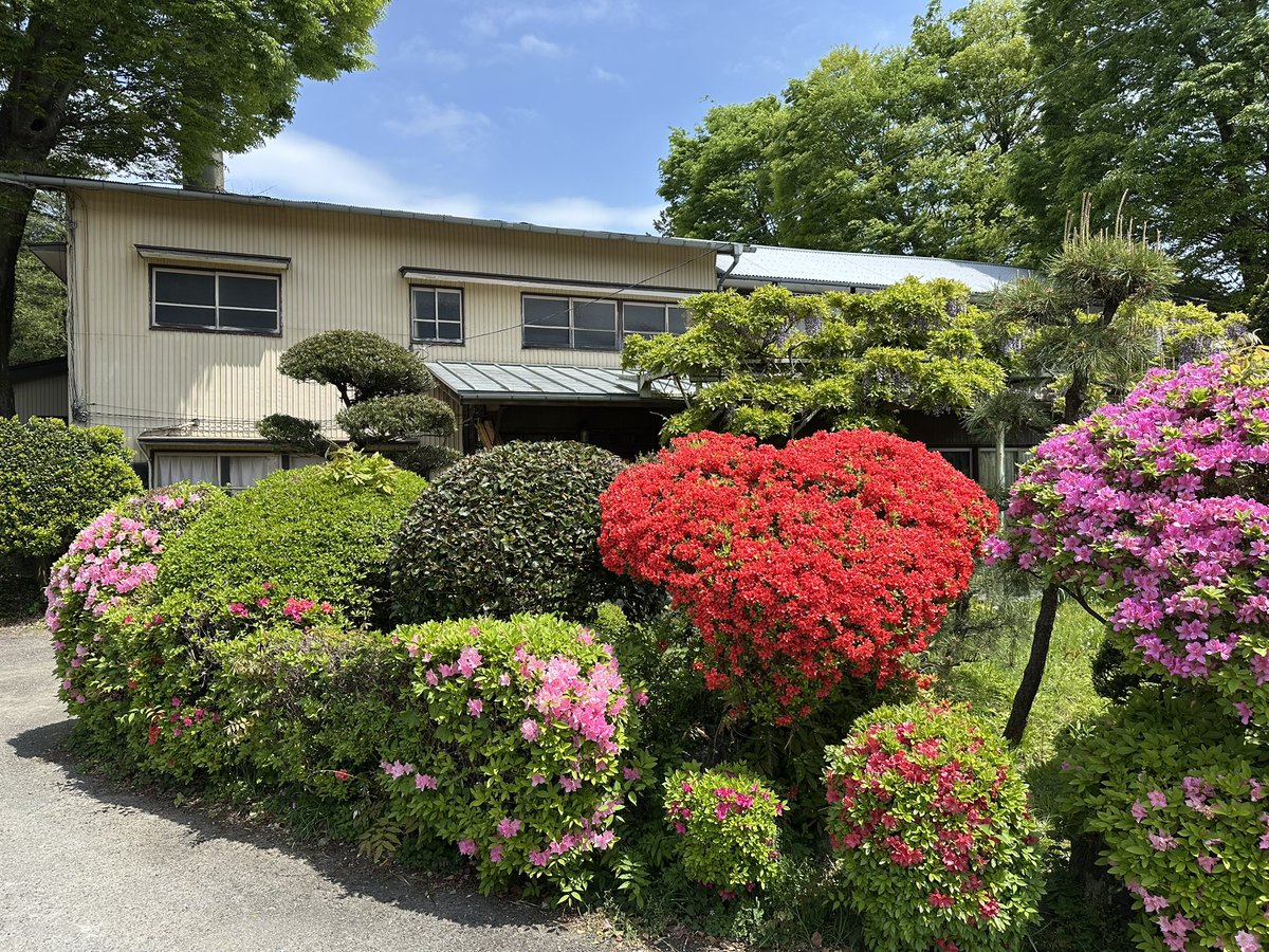 一昨日のつつじ🌺❤️
見頃は今週末までかなぁ。