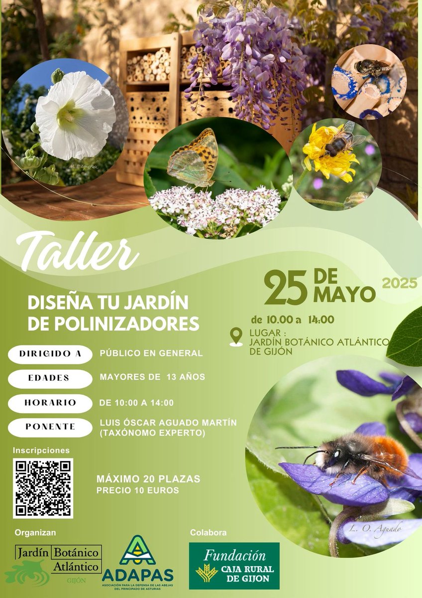 ¡AÚN QUEDAN PLAZAS DISPONIBLES! 🐝
¿Te gustaría aprender a crear un refugio para polinizadores en tu jardín?
No te pierdas el taller “Diseña tu Jardín de Polinizadores” 
- 25 de mayo
- De 10:00 a 14:00 h
- Jardín Botánico Atlántico de Gijón