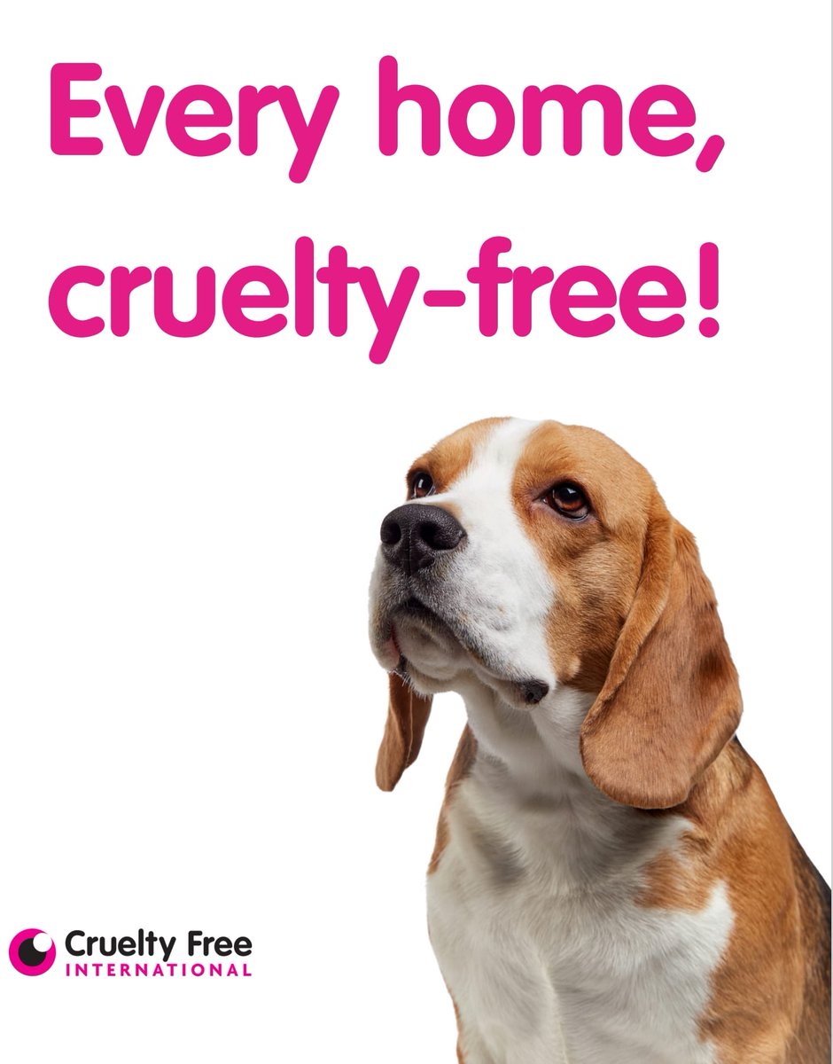 Sarah Champion (@sarahchampionmp) on Twitter photo Today is the National Day for Animals in Laboratories: science has advanced to the point that there are now reliable non-animal replacements that can and should be used instead. Check out <a href="/CrueltyFreeIntl/">Cruelty Free International</a>'s Replace Animal Tests (RAT) list: crueltyfreeinternational.org/make-change/re⦠#CrueltyFreeUK Today is the National Day for Animals in Laboratories: science has advanced to the point that there are now reliable non-animal replacements that can and should be used instead. Check out <a href="/CrueltyFreeIntl/">Cruelty Free International</a>'s Replace Animal Tests (RAT) list: crueltyfreeinternational.org/make-change/re⦠#CrueltyFreeUK