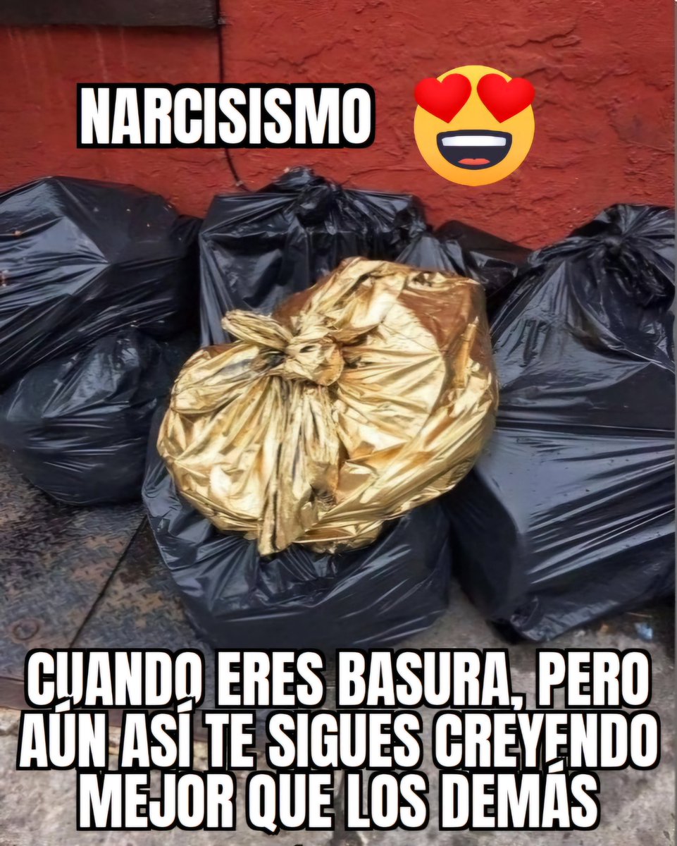 Eva Carreras tweet media