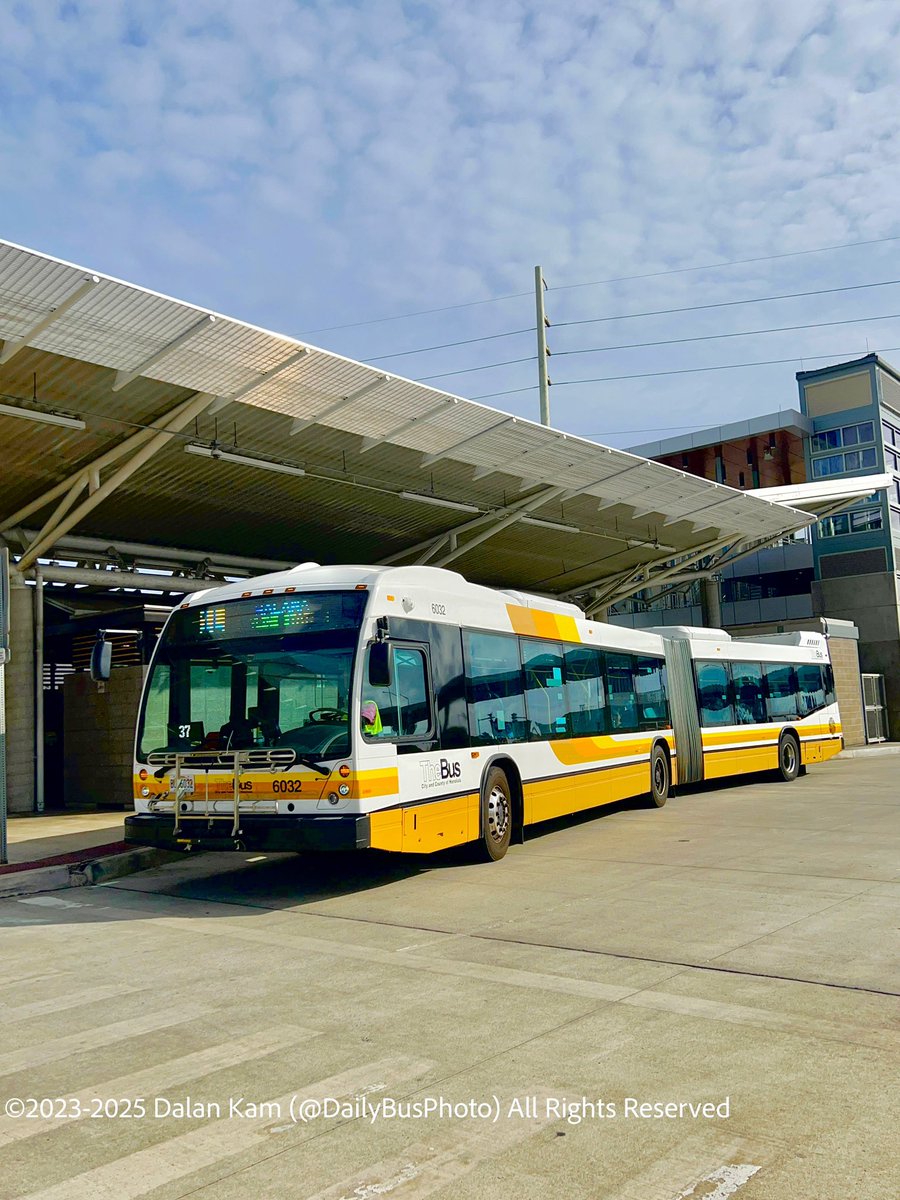 DailyBusPhoto's tweet photo. More Nova Buses rolling out today!
Route 1L Limited Stops departing the Kalihi Transit Center.
#Photograghy #PublicTransit #Transit #Bus #TheBus #HOLOWithUs #NovaBus #LFSA #Hawaii #Honolulu #Oahu #TheBus https://t.co/99cVtr9w8L