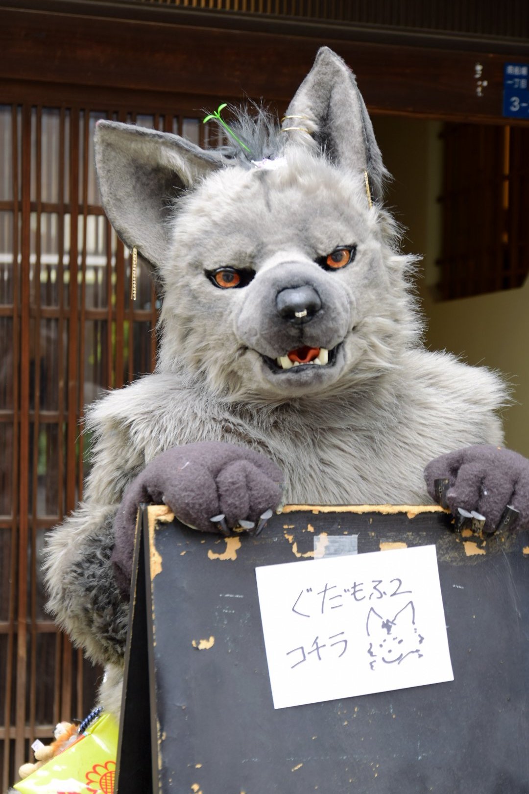 Kenichi Wakisaka (Wakkie) (@KenichiWakisak1) / X