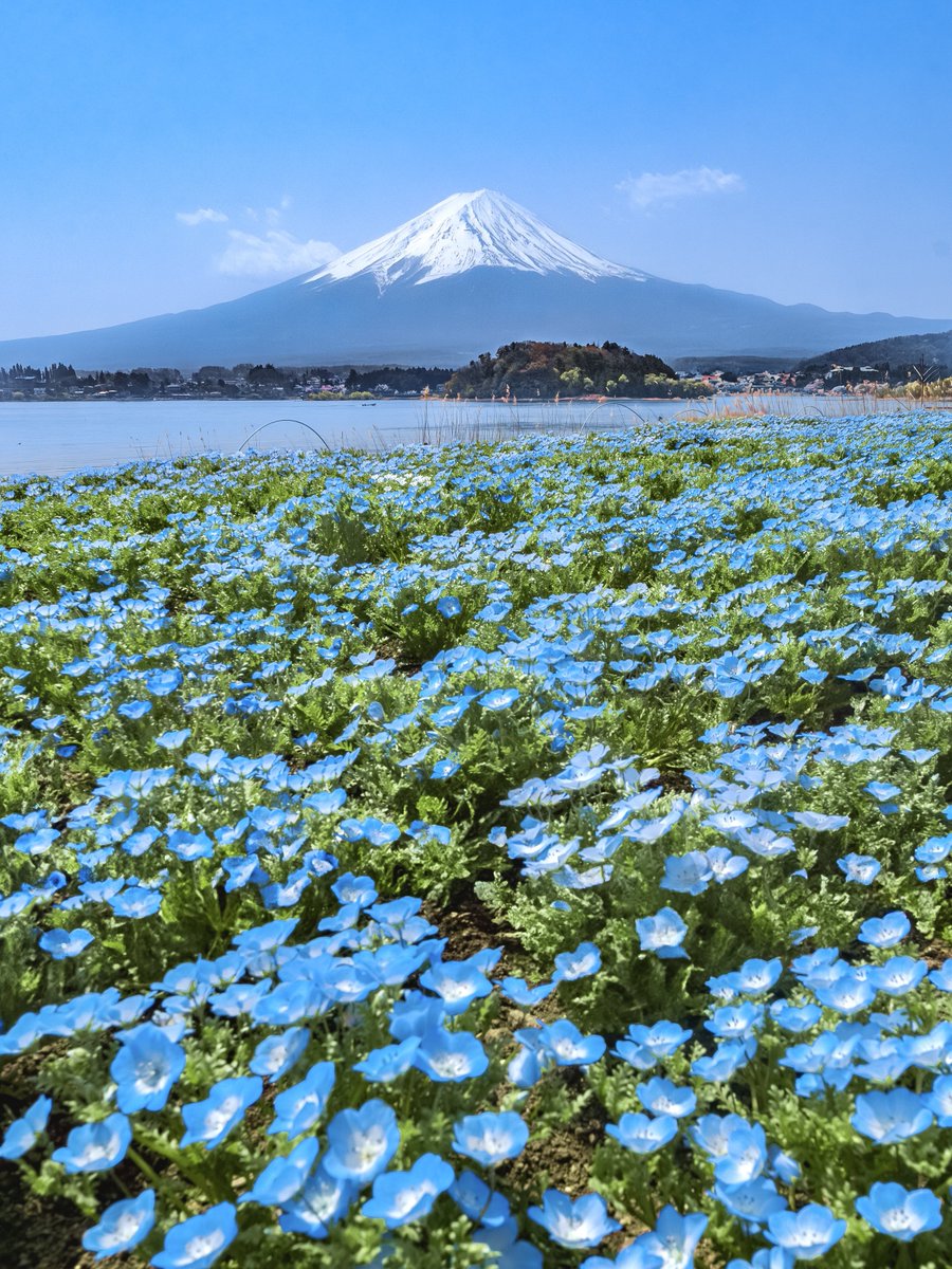 3m1ek's tweet photo. 高原の青の風景 https://t.co/dCFKqQZB3D