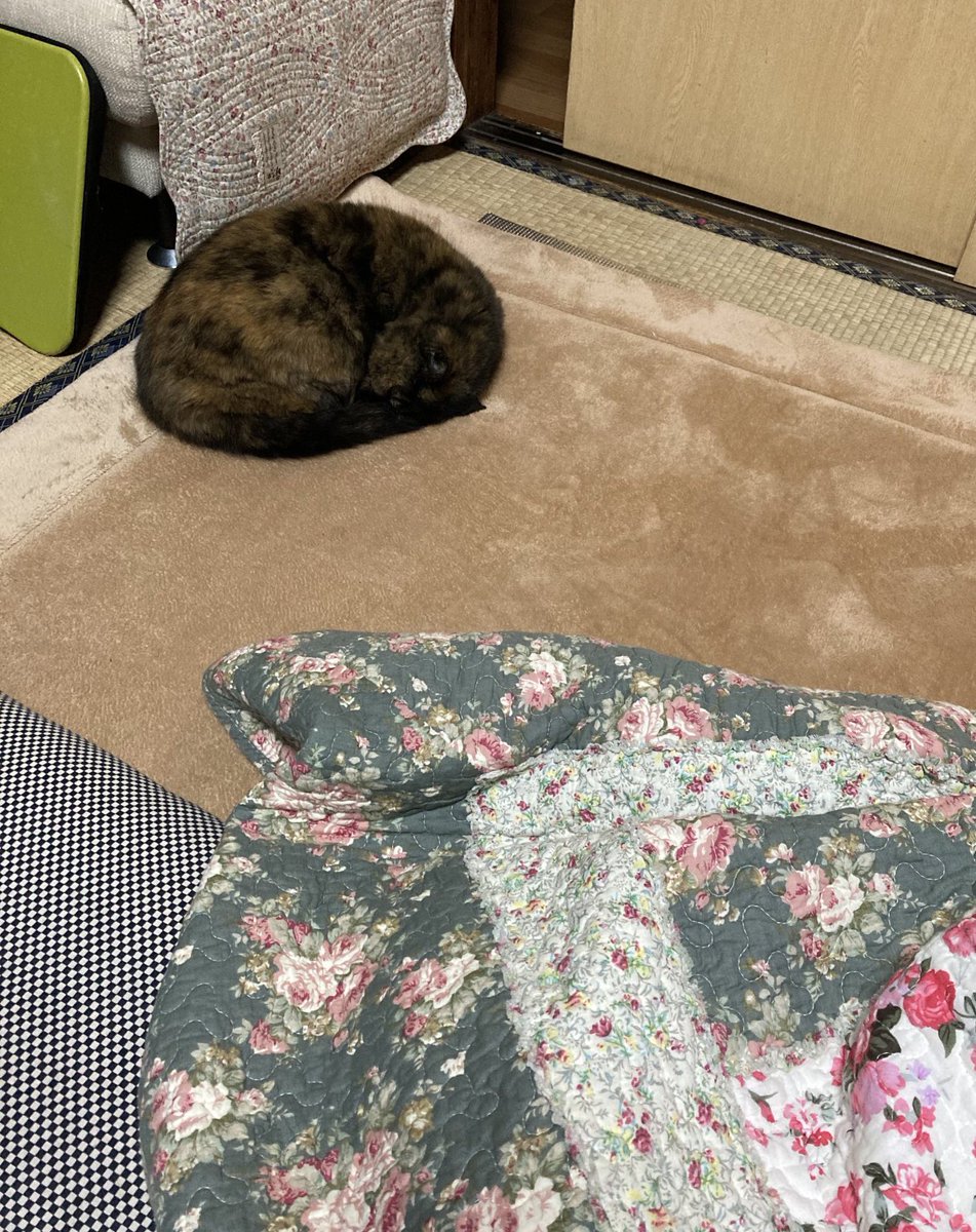 美味しいよね 