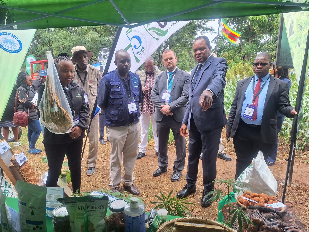 Kutsaga Research tweet media