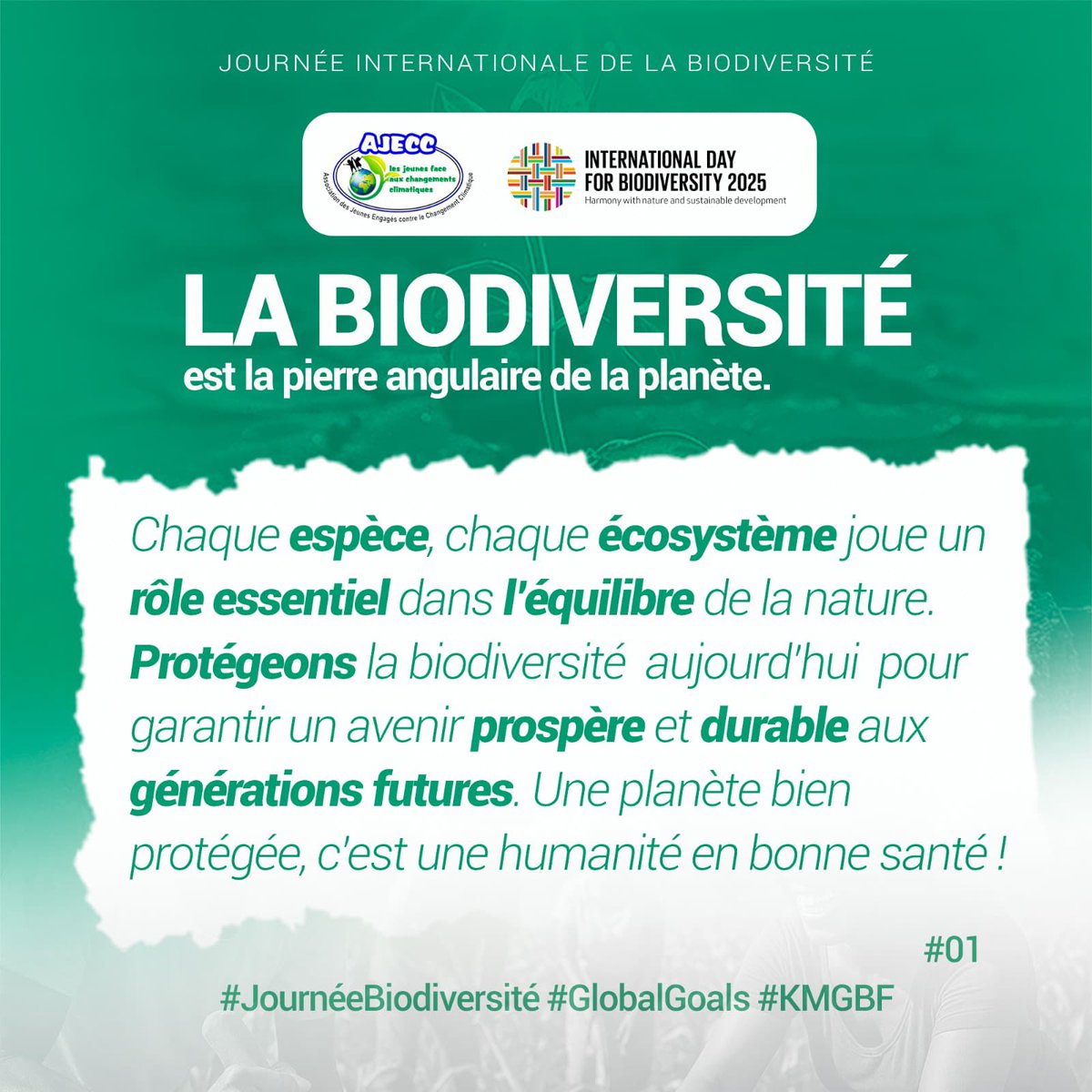 La biodiversité, c’est notre équilibre.
Chaque espèce compte. Chaque perte fragilise la vie.
Protéger la nature, c’est protéger notre avenir.
#JournéeBiodiversité #GlobalGoals #KMGBF
<a href="/UNBiodiversity/">UN Biodiversity</a> <a href="/IUCN_IPBES/">IUCN IPBES</a> <a href="/FAOclimate/">FAO Climate Change & Biodiversity</a> <a href="/MerfGouvtg/">Ministère en charge de l'Environnement Togo</a> <a href="/PnudTogo/">Pnud Togo</a> <a href="/GYBN_CBD/">Global Youth Biodiversity Network (GYBN)</a>