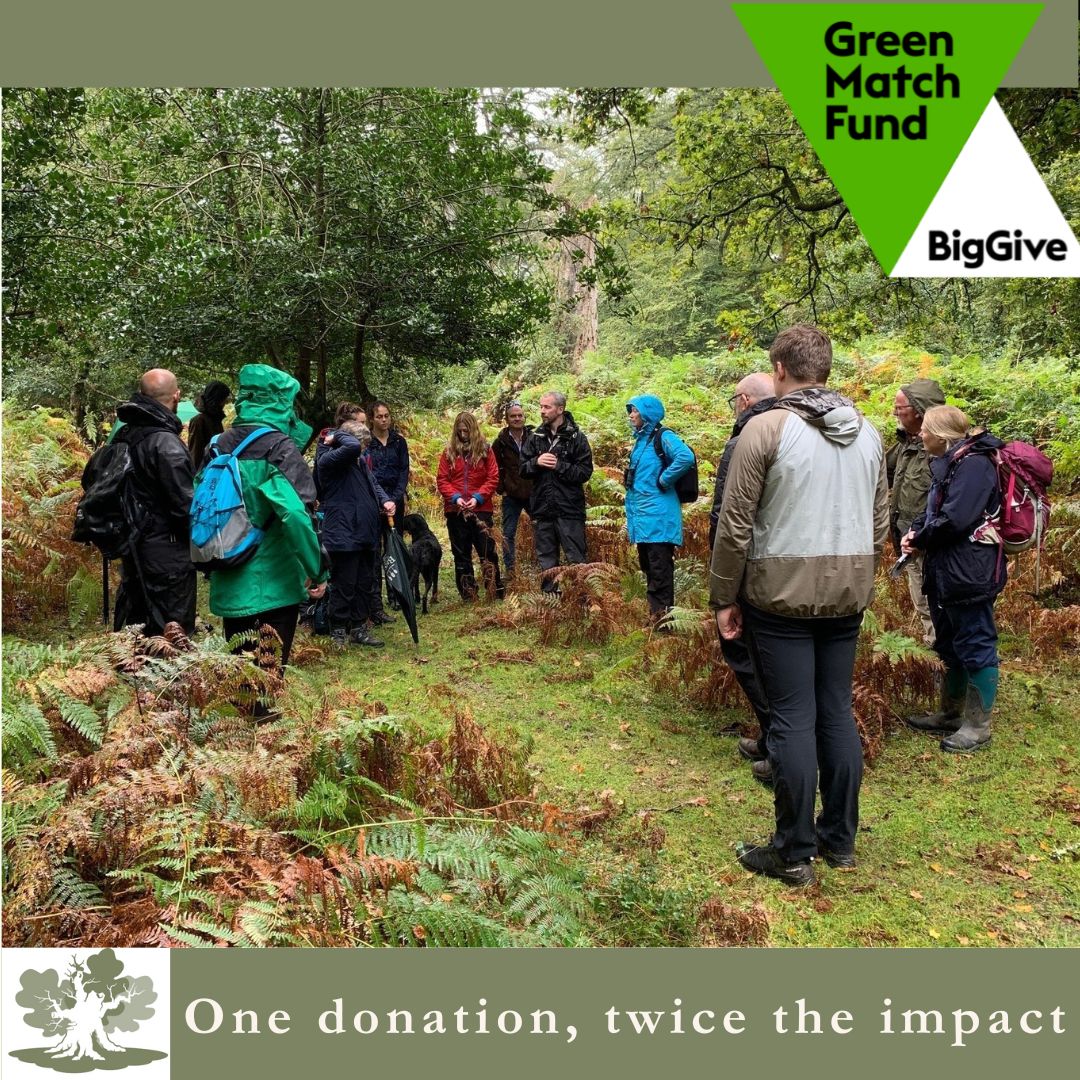 Big Give’s #GreenMatchFund. ATF’s Technical Advisory Panel is made up of twelve volunteers who freely give their time, advice and expertise on important issues relating to the care and management of ancient trees. Please donate if you like what we do tinyurl.com/yznn5x5e