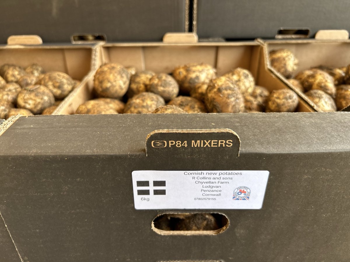 Matthew Collins ==🚜🥔🥬🌾 tweet media