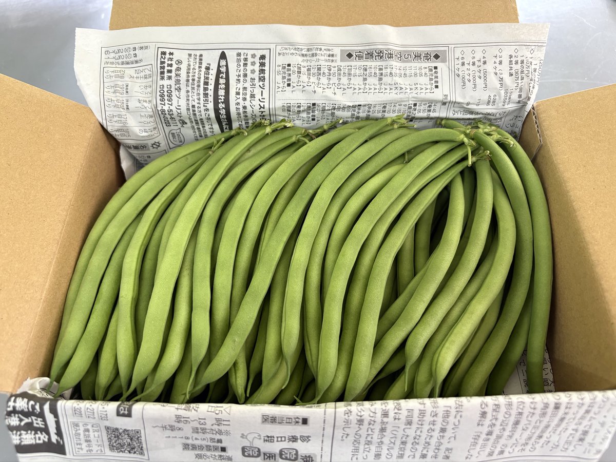 shikuganu's tweet photo. いんげんのサクサク王子
知り合いの農家さんから譲ってもらいました😍
食べるとスナックの様にサクサクしててとっても美味しかった😋 https://t.co/E6jFKo1d3E