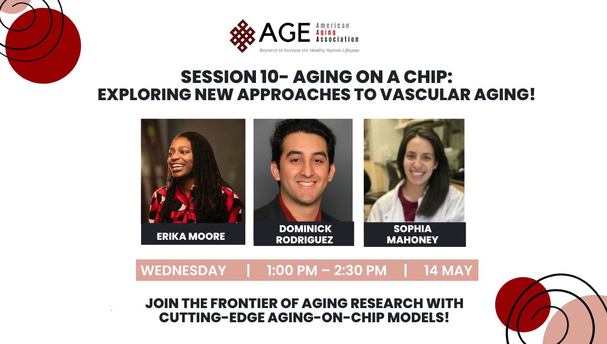 American Aging Association (@americanaging) on Twitter photo Join us at #AGEAnnualMeeting2025 for Session 10 on May 14, 2025, from 1:00 PM to 2:30 PM at Tikahtnu Ballroom.
Speakers: <a href="/DrErikaMoore/">Erika Moore</a>, Dominick Rodriguez, Young Jang, Sophia Mahoney, and James McGrath.
bit.ly/4cJx8Gd
#AgingOnAChip #VascularAging #Senolytics Join us at #AGEAnnualMeeting2025 for Session 10 on May 14, 2025, from 1:00 PM to 2:30 PM at Tikahtnu Ballroom.
Speakers: <a href="/DrErikaMoore/">Erika Moore</a>, Dominick Rodriguez, Young Jang, Sophia Mahoney, and James McGrath.
bit.ly/4cJx8Gd
#AgingOnAChip #VascularAging #Senolytics