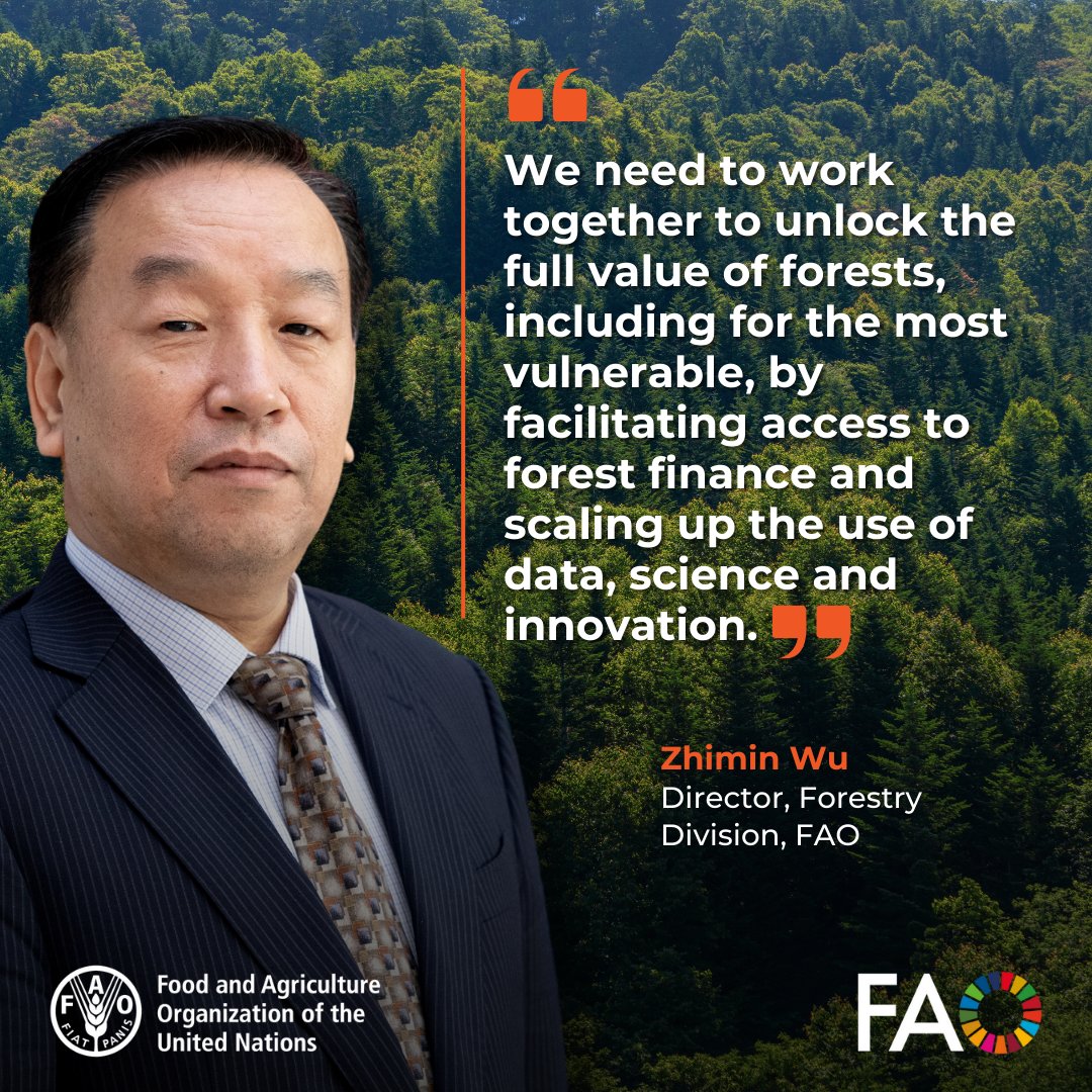 FAOForestry's tweet photo. "We need to work together to unlock the full value of forests, including for the most vulnerable, by facilitating access to forest finance and scaling up the use of data, science and innovation," @FAO’s Zhimin Wu tells #GLFForests 2025 opening plenary
@GlobalLF https://t.co/rOhmpp2u70