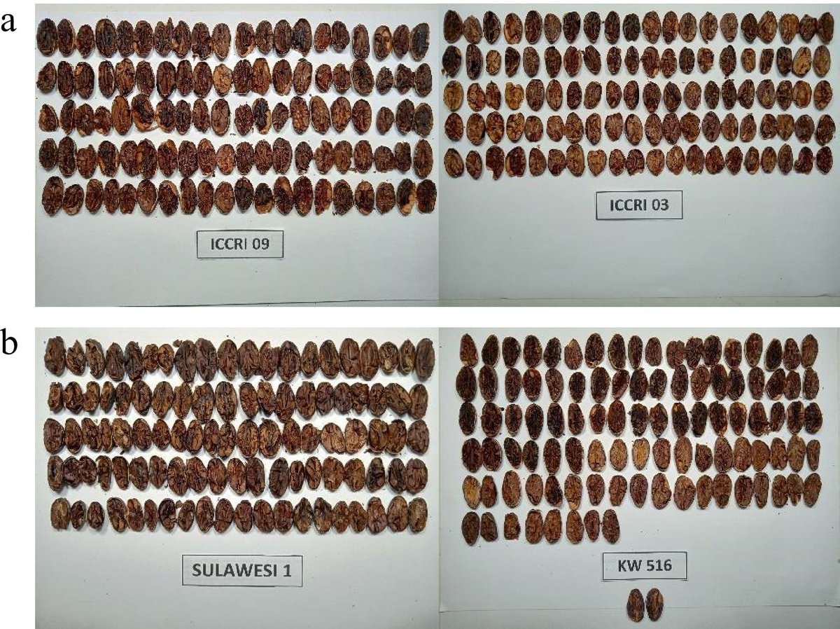 Maximum Academic (@maximumacademic) on Twitter photo #BPR
Non-volatile compounds in cocoa beans impact flavor preference. Aromatic genotypes have higher fermentation index, carbohydrates, and polyphenols. 🍫
<a href="/HortiPlant/">Horticultural Plant Research</a> #CocoaFlavor
Details: maxapress.com/article/doi/10… #BPR
Non-volatile compounds in cocoa beans impact flavor preference. Aromatic genotypes have higher fermentation index, carbohydrates, and polyphenols. 🍫
<a href="/HortiPlant/">Horticultural Plant Research</a> #CocoaFlavor
Details: maxapress.com/article/doi/10…