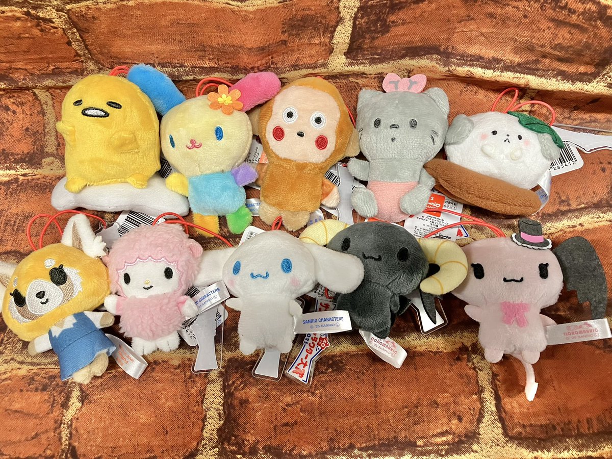 ﾟ ゜ﾟ *+: 2025年 #サンリオキャラクター大賞 を記念して *+:｡.｡.｡:+*ﾟ