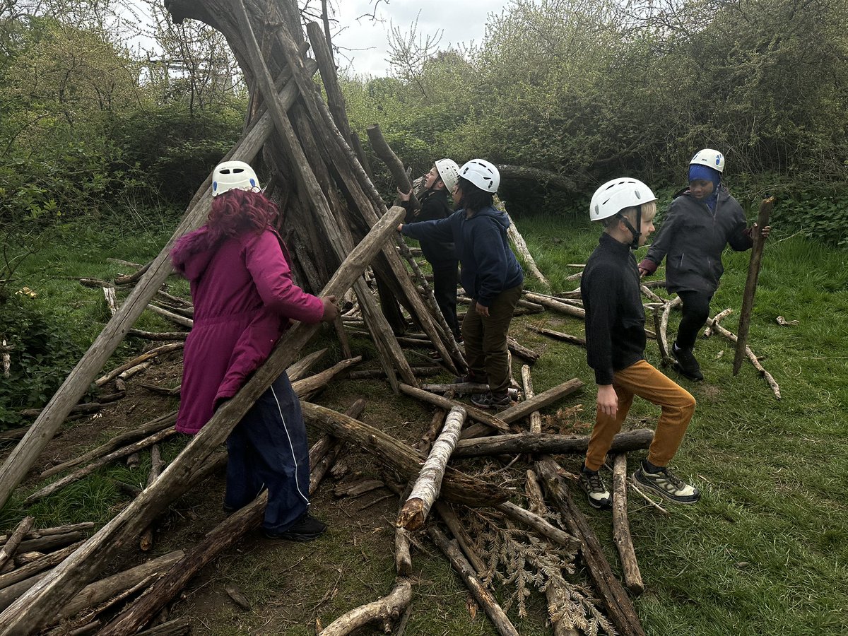 FoxfieldPrimary tweet media