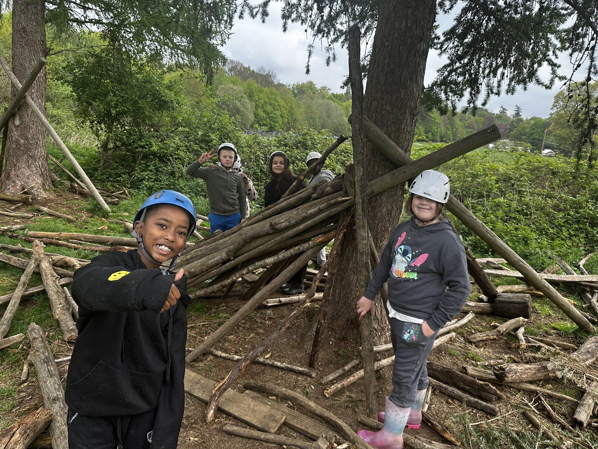 FoxfieldPrimary tweet media