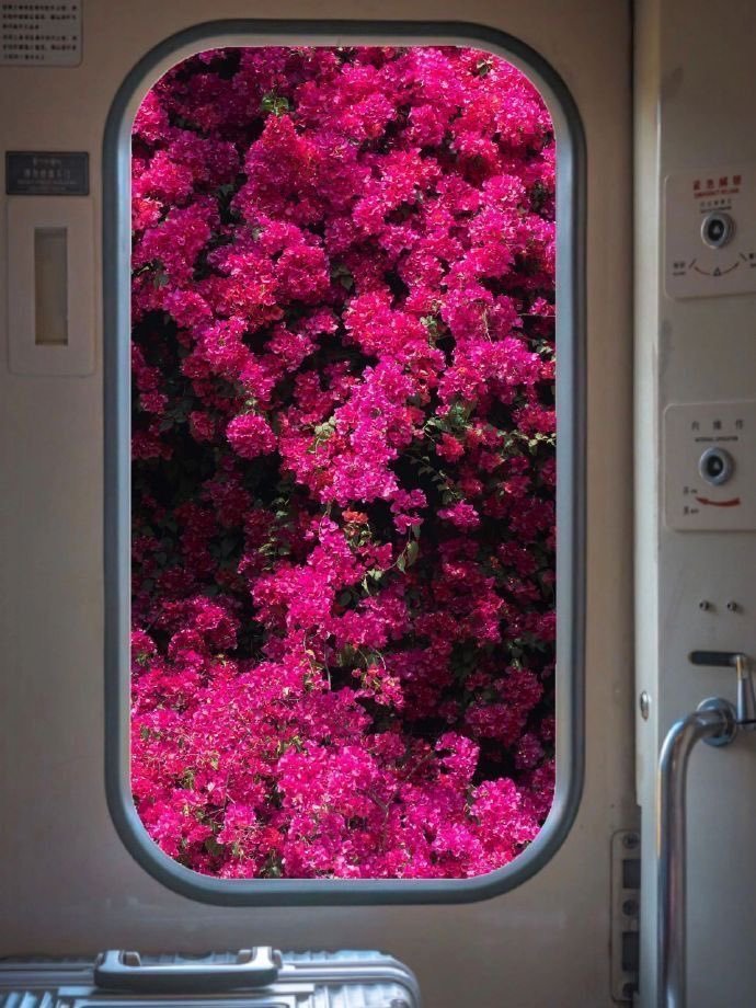 Day 1                               Day 7